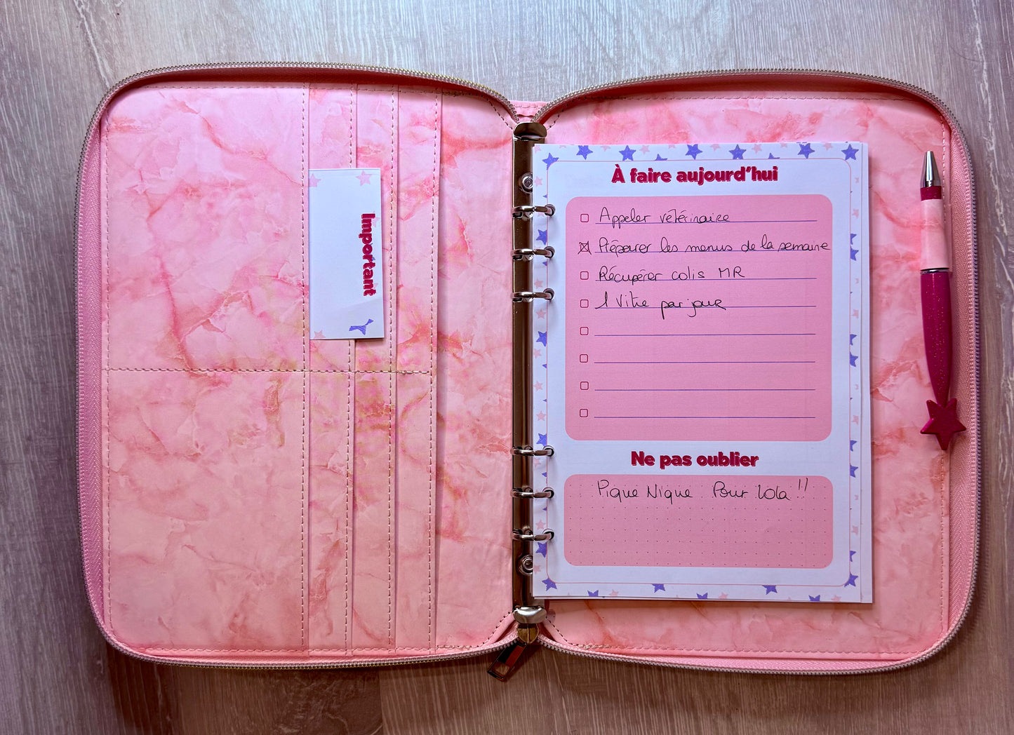 Kit de démarrage ⭐️ Classeur et fiches pour 3 mois