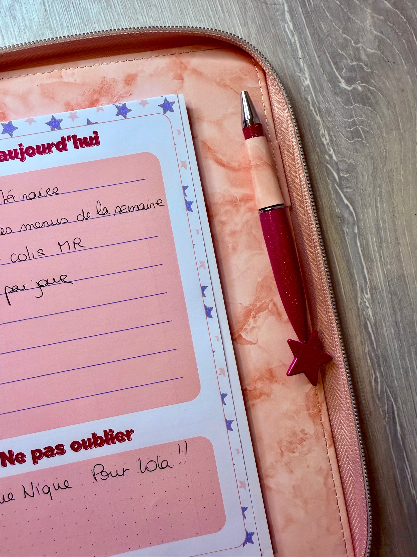 Classeur à zip A5 - 6 anneaux - plusieurs coloris